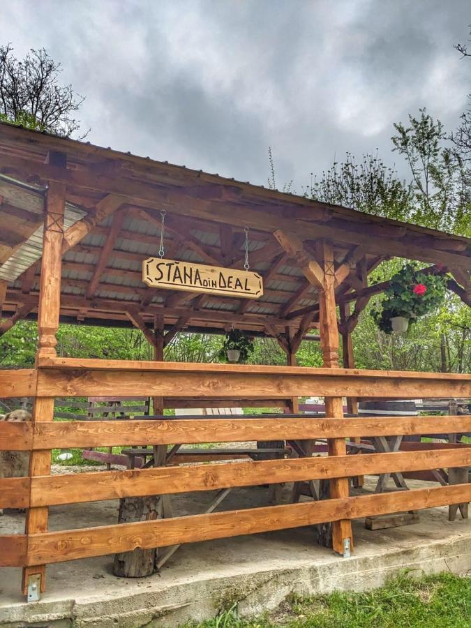 Cabana „Stana Din Deal” Provita de Sus Exterior foto
